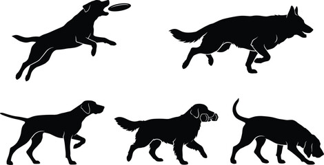 Obraz premium Set of black silhouettes featuring various dog breeds in dynamic running, playing, and walking poses