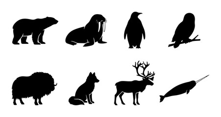 Fototapeta premium Arctic Animals Silhouettes: Polar Bear, Walrus, Penguin, Owl, Musk Ox, Fox, Reindeer, Narwhal Vector Icons