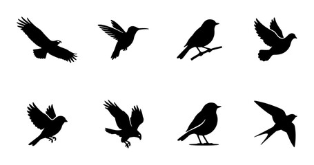 Fototapeta premium Diverse Bird Silhouettes Collection, Avian Wildlife Icons, Feathered Creatures Vector Set
