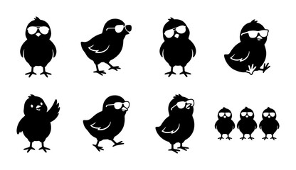 Cute Chick Silhouettes, Funny Baby Bird Icons, Sunglasses Wearing Fowl Vector Set © Shakib