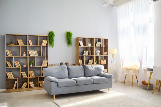 Living room sofa with bookshelves, interior decor. Bright library style with wooden shelves, green plants, floor lamp and large window with sheer curtains. Clean cozy home comfort concept.