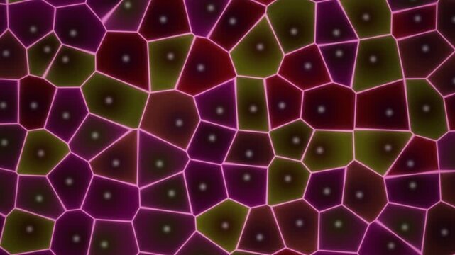 Intricate Geometric Voronoi Pattern Displaying Dynamic Organic Cell Structures and Mathematical Mosaic Network for Sophisticated Digital Backdrop Graphics and Ultra HD Motion Visuals