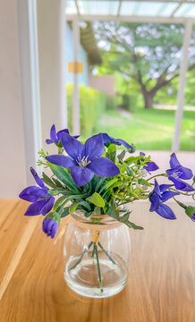 Purple flowers platycodon grandiflorus balloon flower chinese bellflower