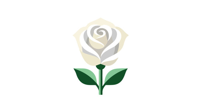 Elegant white rose with g