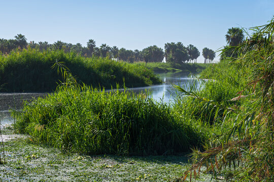 lagoon and estuary of san jose del cabo
