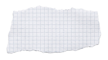 Torn piece of white grid paper with rough edges against transparent background.