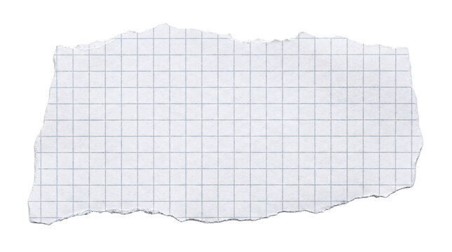Torn piece of white grid paper with rough edges against transparent background.