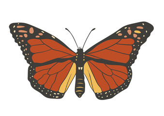 Naklejka premium Rust orange-brown, classic monarch pattern Butterfly Illustration Isolated on White Background