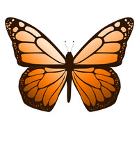 Fototapeta premium Light cream tan to warm brown Butterfly Illustration Isolated on White Background