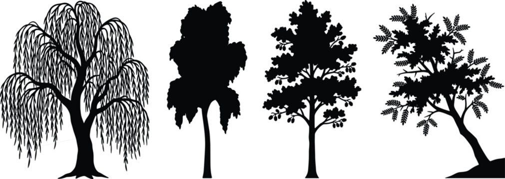 Collection of Various Tree Silhouettes Illustration Including Weeping Willow, Conifer, and Deciduous Trees Isolated on White Background