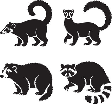 Set of four black silhouette of raccoons and coatis in various poses, isolated on a white background, for use and, wildlife themes