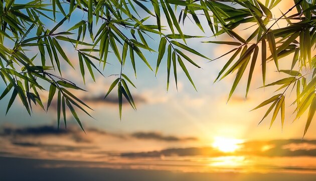Bamboo Leaves And Sunset Sky