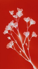 Obraz premium Floral silhouette on vibrant red background, perfect for mobile wallpaper.
