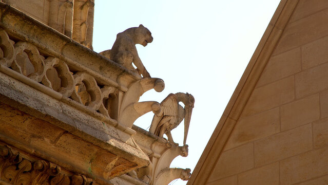 Stone gargoyles and architectural details of Notre-Dame Cathedral in Paris, seen against a bright sky.
