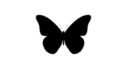 Black butterfly silhouette against a white background simple insect form © Nazrul