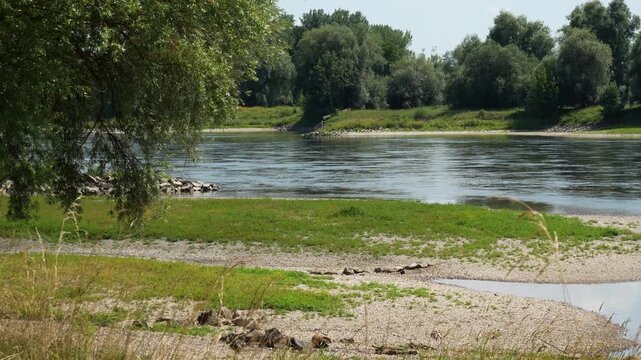 Danube river bend landscape view footage