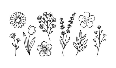 Floral wildflowers and botanical herbs line art vector set with daisy tulip lavender field blooms and leaf branches isolated on white background for wedding design © Mdanowrul