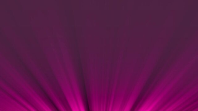 Abstract pink light rays circular background animation. Cinematic theater spotlight or projector light rays background.