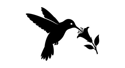 Fototapeta premium Hummingbird And Flower Silhouette Against White Background
