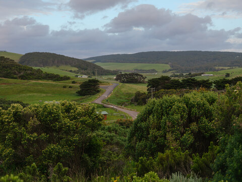 Road through the countryside and pastures in Victoria, Australia 