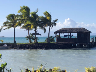 Thatched over-water fale on rocky point with windswept palms © VJH Photography