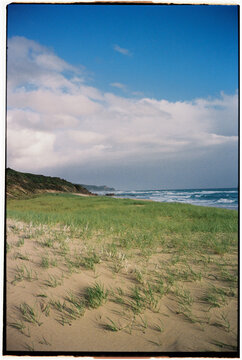 Sandy dunes covered with beach grass along Great Ocean Road 