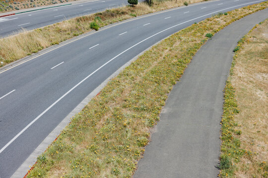 Empty Road and Sidewalk With Wildflowers