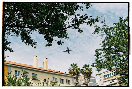 Airliner Passing Above City Trees and Rooftops