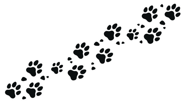 Minimalist black animal paw print vector illustration showing a diagonal path of footsteps isolated on a clean white background design