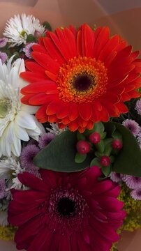 Close up of colorful gerbera daisy bouquet with orange and white flowers