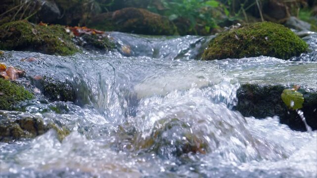 Fresh water of mountain stream flowing in summer. Ariege Pyrenees France