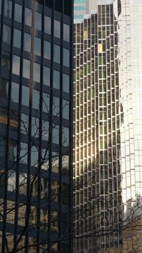 Glass office towers reflect sunlight in urban skyline, with dark facade beside bright gridded highrise and bare tree branches crossing foreground during slight camera shift., building detail