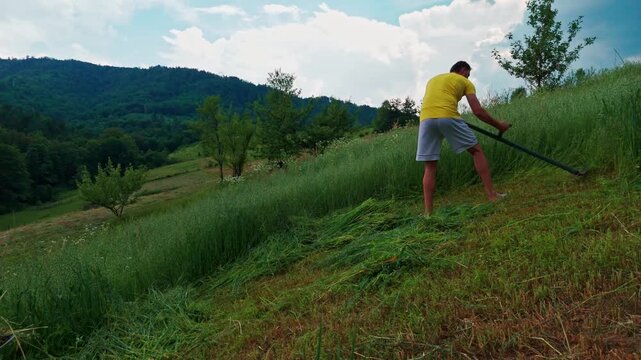 Low-angle tracking shot of a traditional mower scything green grass in a meadow