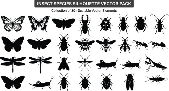 Insect species silhouette vector pack featuring butterfly bee dragonfly ant mosquito beetle moth and grasshopper icons collection isolated on white background.