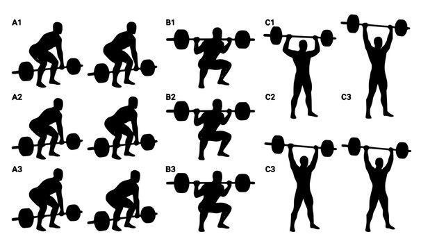 Male body muscle highlight vector set with man doing fitness barbell exercises for bodybuilding anatomy charts