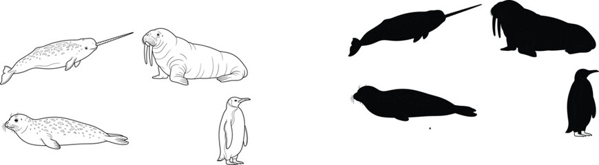 Set of Arctic and Antarctic Animal Icons Featuring Narwhal, Walrus, Seal, and Penguin in Outline and Silhouette Styles © MstLata