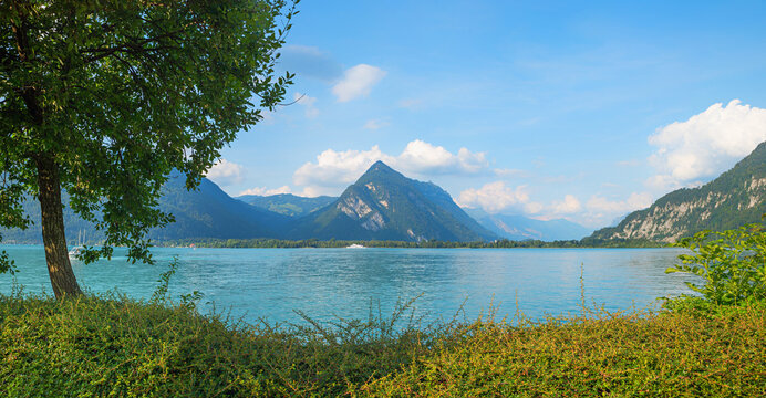 lake shore Darligen, lake Thunersee, with view to Harder Kulm. swiss landscape
