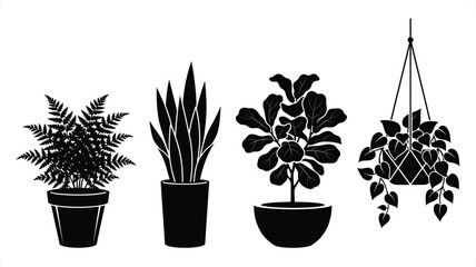 Obraz premium Various potted houseplants in silhouette against a white background with clean lines