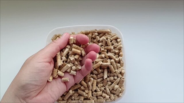 Hand pouring wood pellets to check quality, biofuel energy concept.
