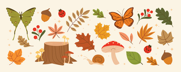 Autumn hand drawn element vector set. Collection of maple leaves, butterfly, lady bug, log, mushroom, foliage, berry, snail, oak leaf. Fall season illustration isolated on white background for decor. © TinyBell