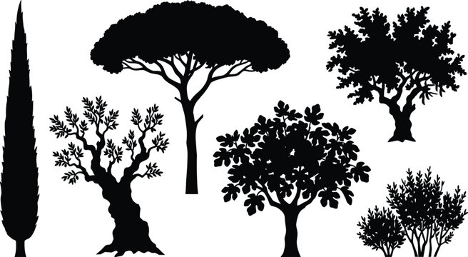Collection of Mediterranean Tree and Shrub Silhouettes Illustration Including Cypress, Stone Pine, Olive Tree, Fig Tree, and Bushes Isolated on White Background