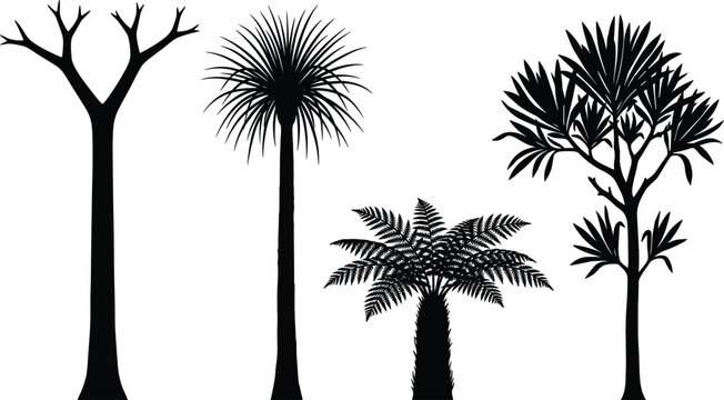 Collection of Tropical Tree and Fern Silhouettes Illustration Including Palm, Fern, and Exotic Trees Isolated on White Background