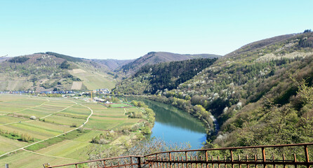 Panoramic landscape of the Moselle River, vineyards and wooded hills near Briedel, seen from the Hindenburglay viewpoint in the Moselle wine region. © Philipp