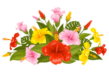 Floral decorative design element, vignette with colorful hibiscus flowers. Decor, floral composition with multicolored gumamela flowers, leaves and buds. Isolated vector illustration © Pagina