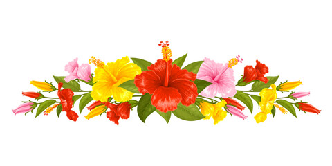 Floral decorative design element, vignette with colorful hibiscus flowers. Decor, floral composition with multicolored gumamela flowers, leaves and buds. Isolated vector illustration © Pagina
