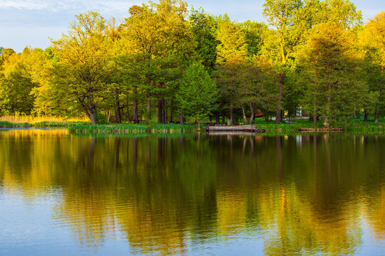 Peaceful pond reflection in Bukowiec park, Lower Silesia. Dolny Śląsk - Polska