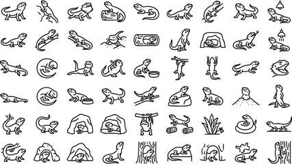 Bearded Dragon Line Art Icon Set with Outline Symbols for Pet Lizard Care, Herpetology Reptile Habitats, Vivarium Supplies, and Exotic Animal Breeding