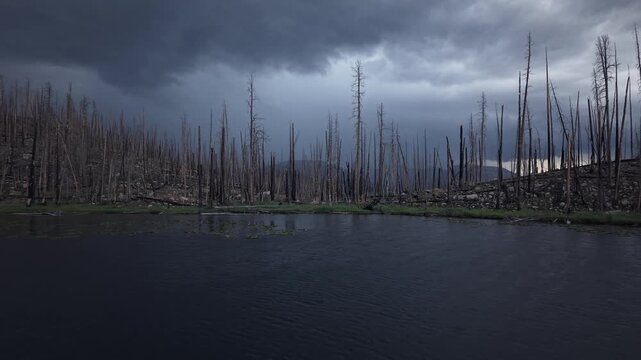 Serene Lake Surrounded by Charred Trees Under Dark Clouds