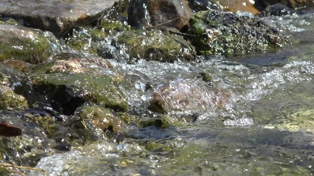 Clear Mountain Stream Water Ripples Sunlight Reflection. Closeup Flowing Mountain Stream Over Mossy Rocks.
