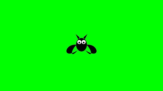 Minimalist black insect icon flies across a vibrant green screen in this simple digital 2d animation motion graphic video clip